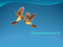 Презентація на тему «Біотехнологія» (варіант 4)