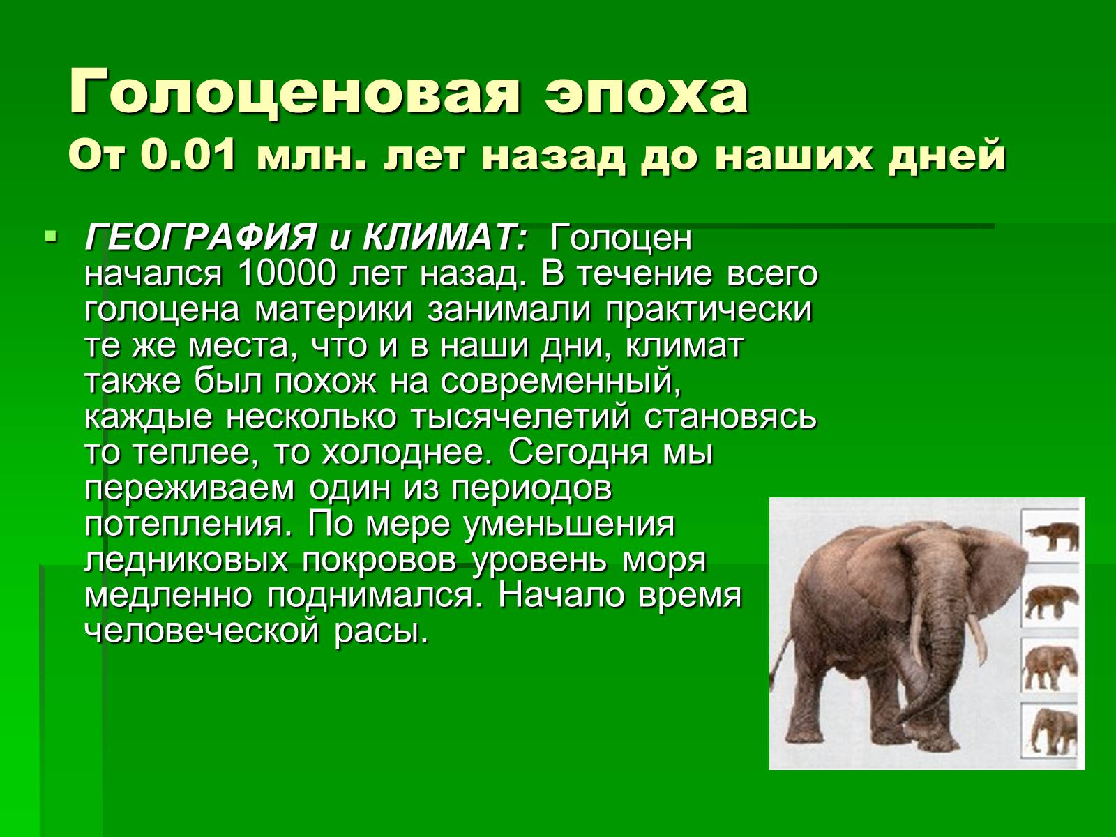 Презентація на тему «Жизнь в кайнозойскую эру» - Слайд #16