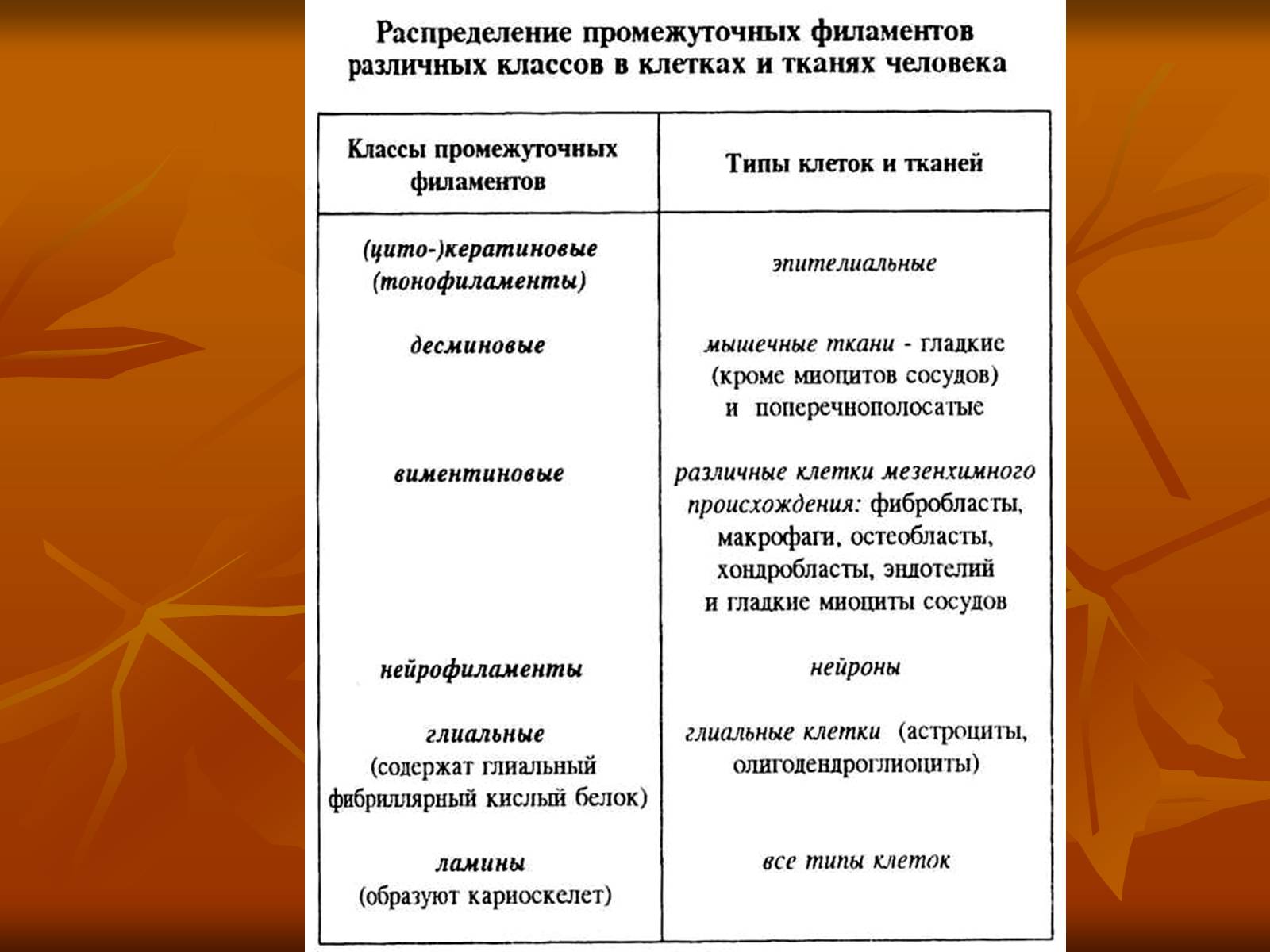 Презентація на тему «Основи цитології» - Слайд #31