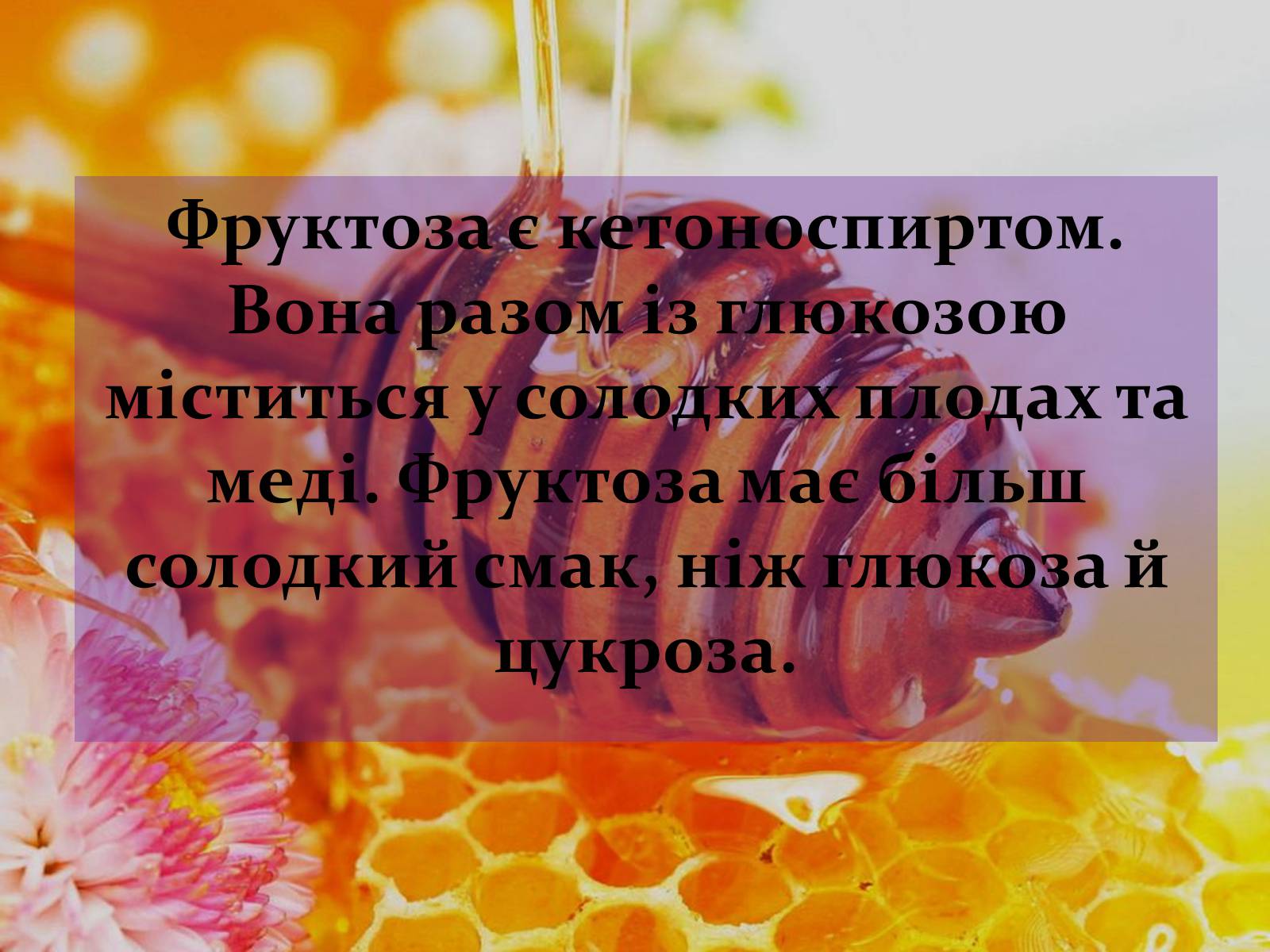 Презентація на тему «Вуглеводи як компоненти їжі, їх роль у житті людини» (варіант 17) - Слайд #12