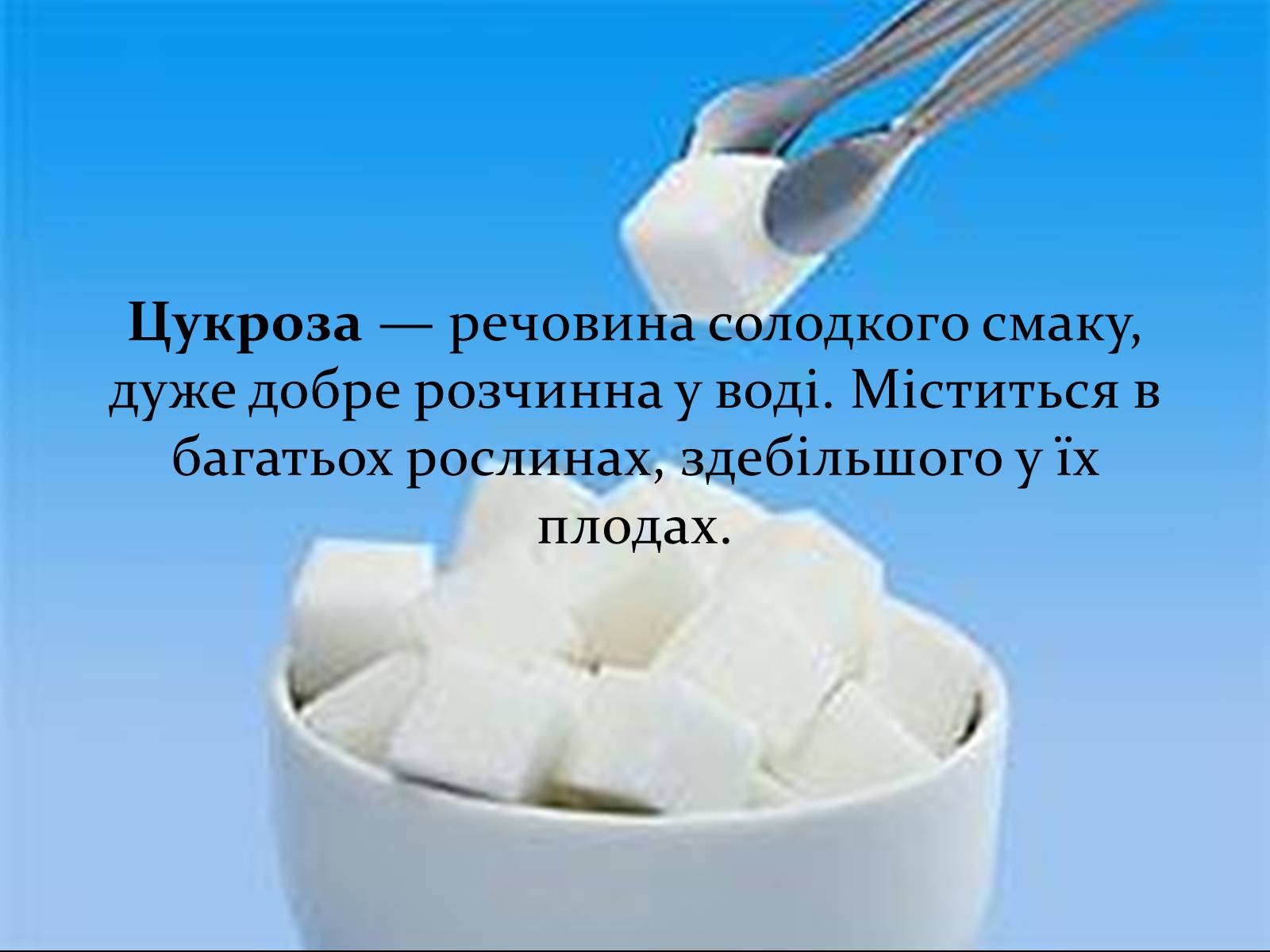 Презентація на тему «Вуглеводи як компоненти їжі, їх роль у житті людини» (варіант 17) - Слайд #13