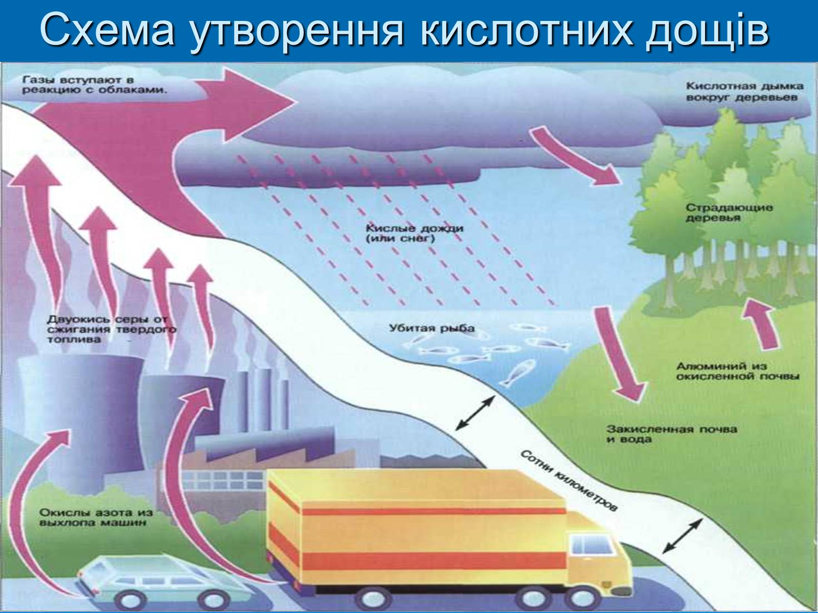 Презентація на тему «Кислотні дощі» (варіант 5) - Слайд #3