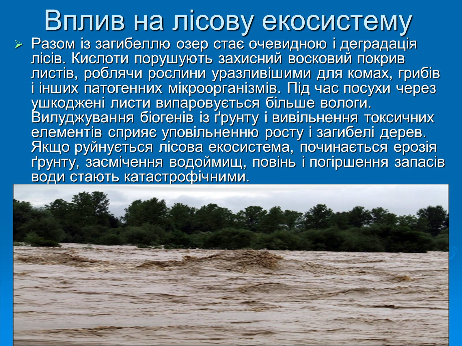 Презентація на тему «Кислотні дощі» (варіант 5) - Слайд #9