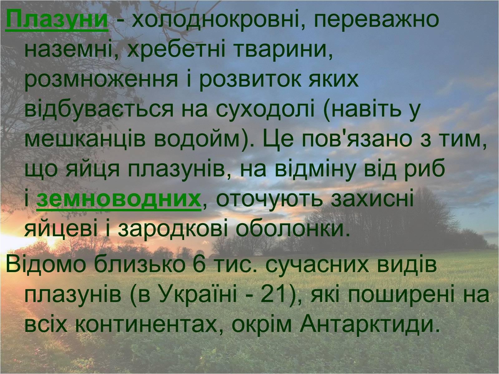 Презентація на тему «Плазуни» (варіант 2) - Слайд #3