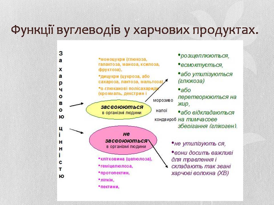 Презентація на тему «Вуглеводи як компоненти їжі, їх роль у житті людини» (варіант 37) - Слайд #10