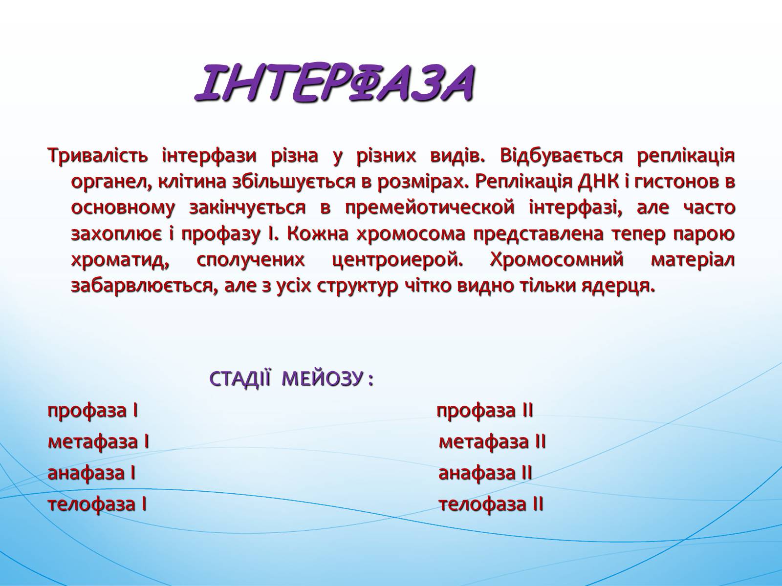 Презентація на тему «Мейоз» (варіант 1) - Слайд #3