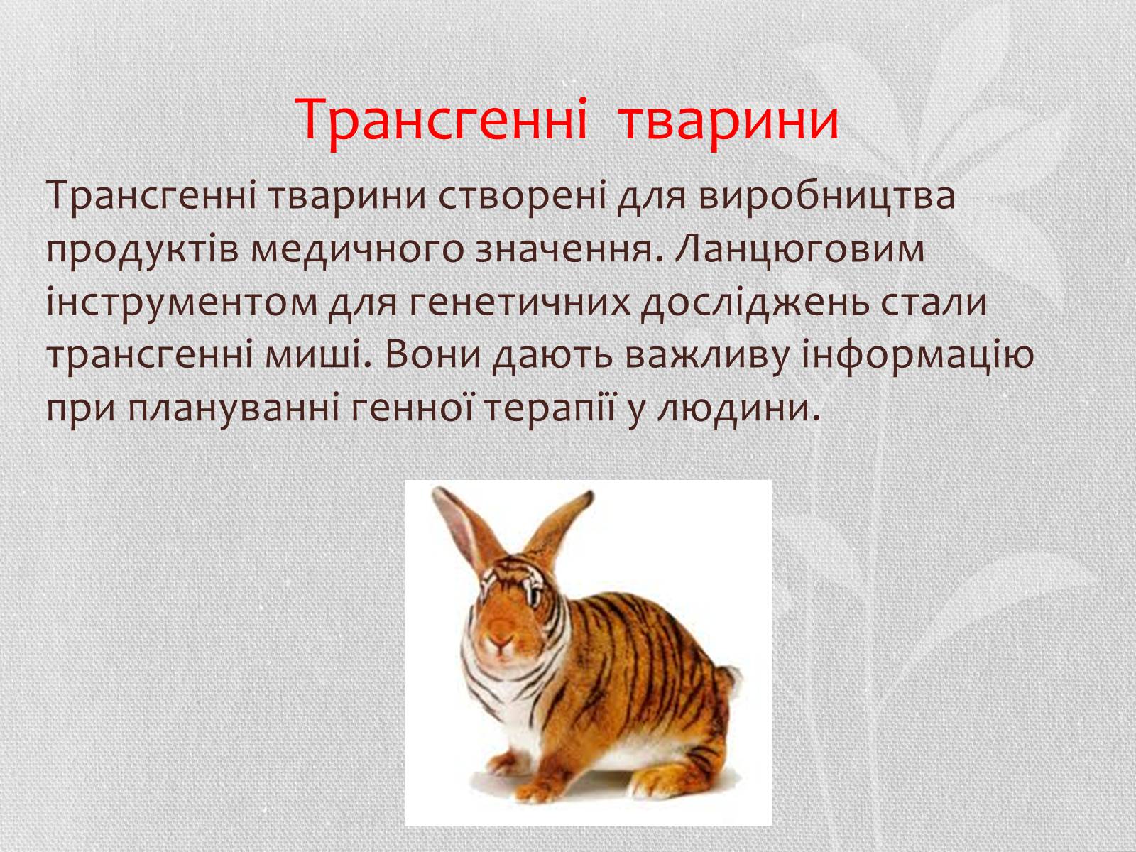 Презентація на тему «Трансгенні організми» (варіант 5) - Слайд #6