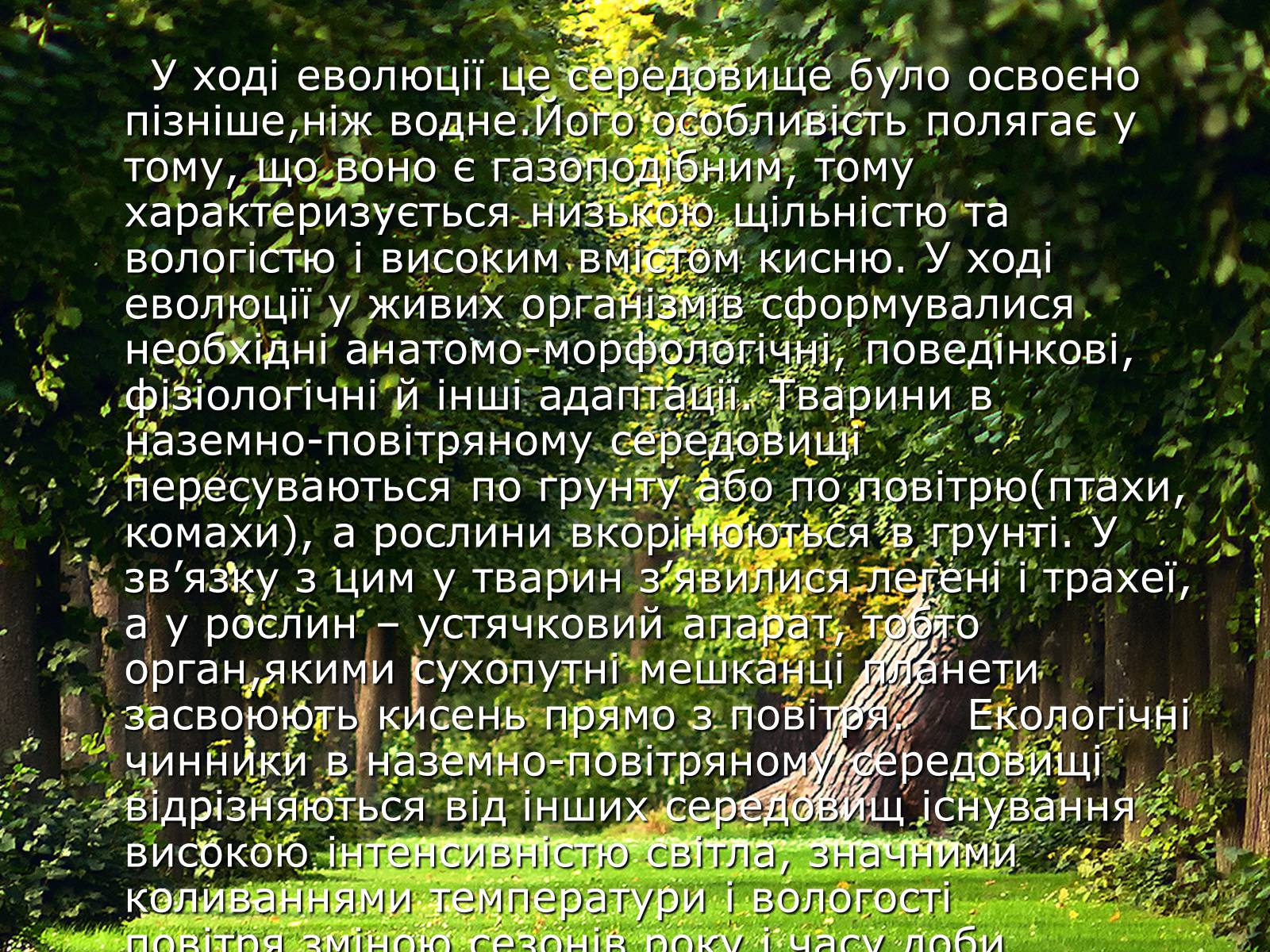 Презентація на тему «Наземно-повітряне середовище існування» (варіант 5) - Слайд #2