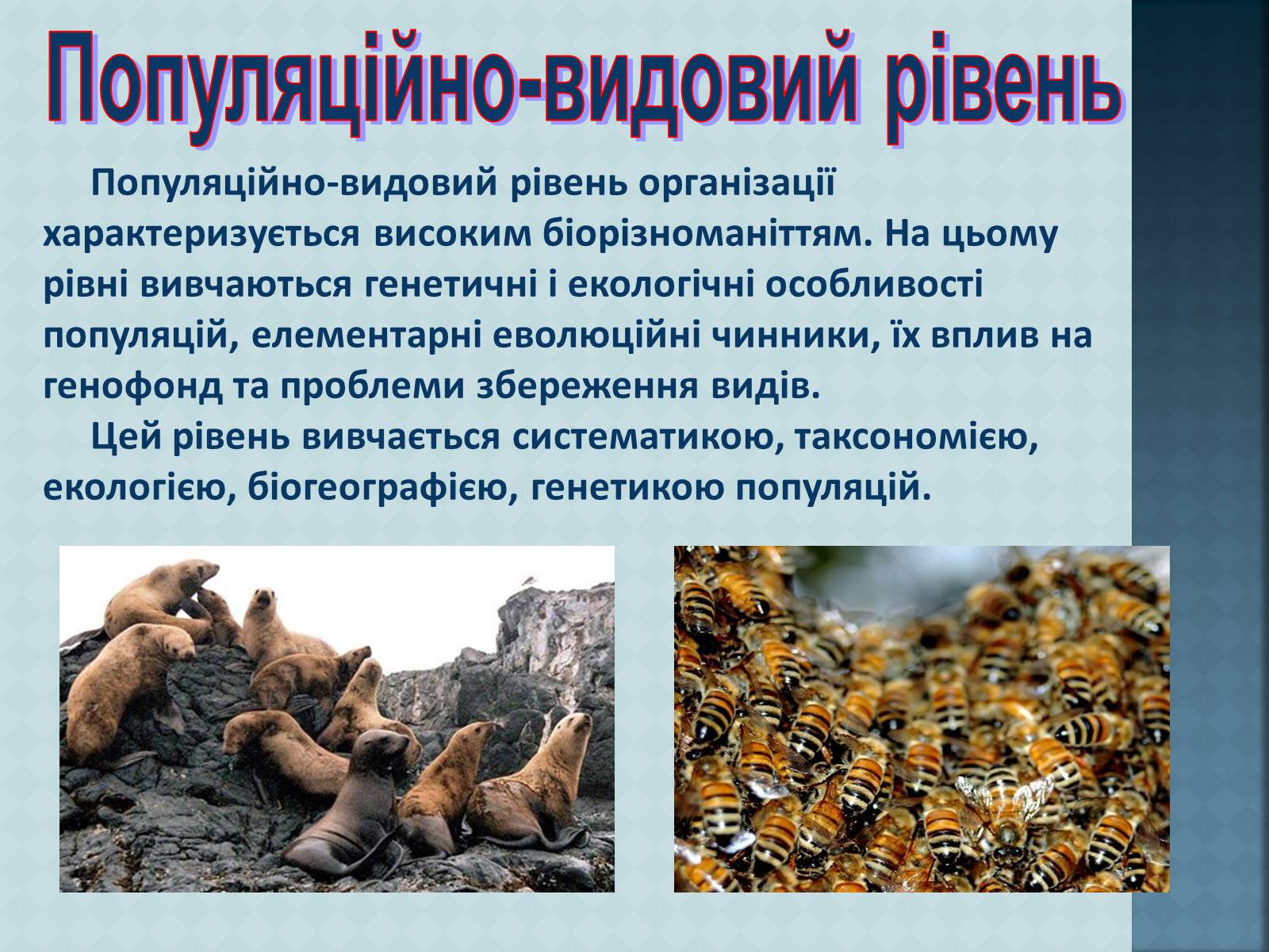 Презентація на тему «Урбанізація та її наслідки» (варіант 3) - Слайд #12