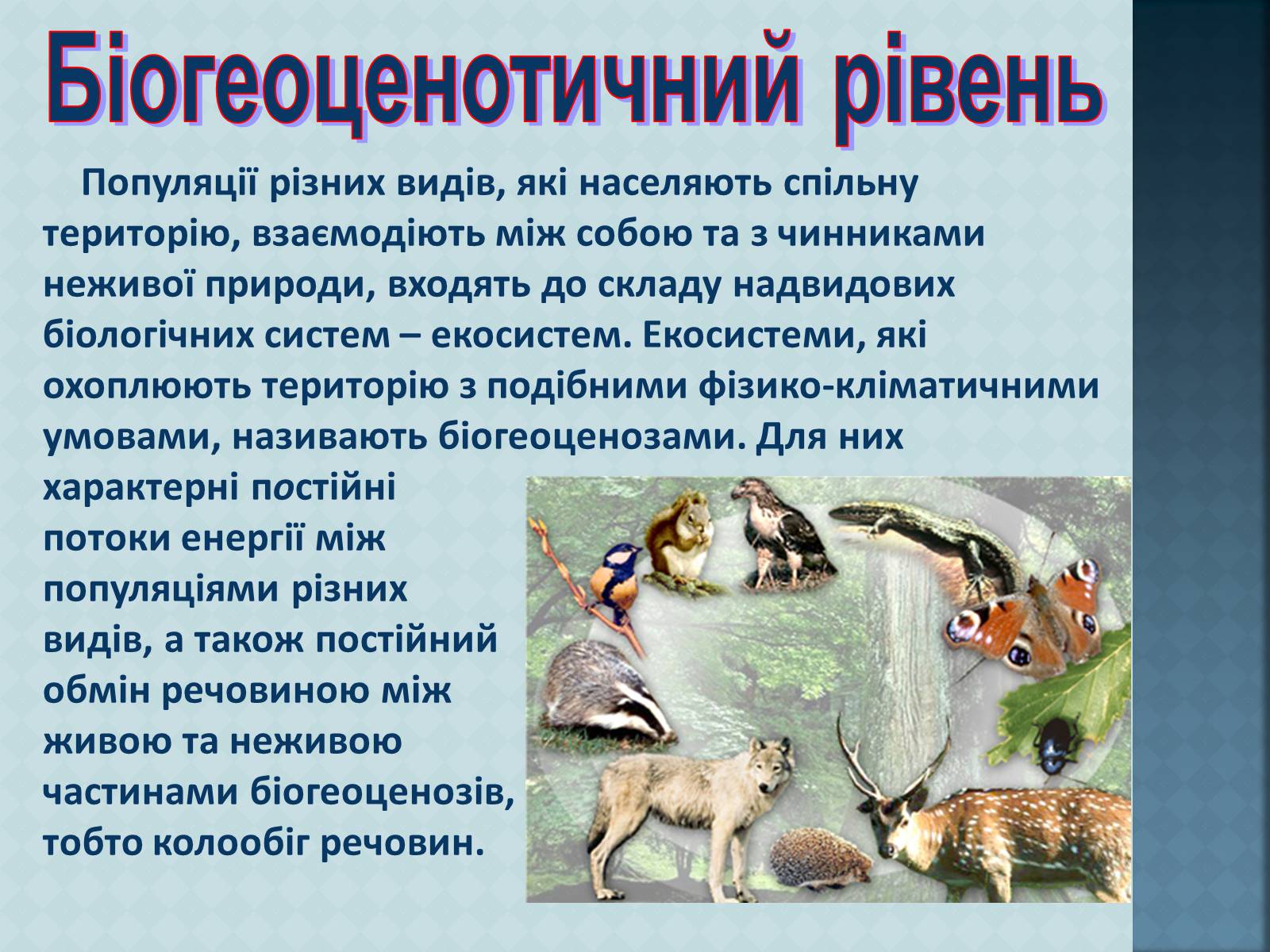 Презентація на тему «Урбанізація та її наслідки» (варіант 3) - Слайд #13