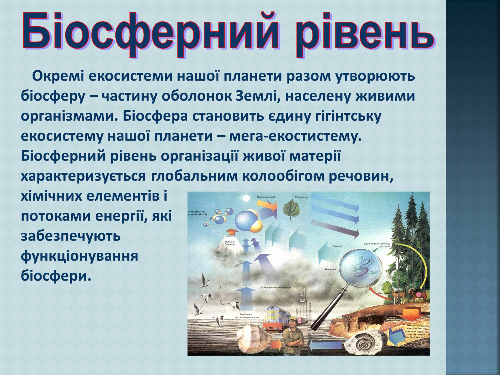 Презентація на тему «Урбанізація та її наслідки» (варіант 3) - Слайд #15