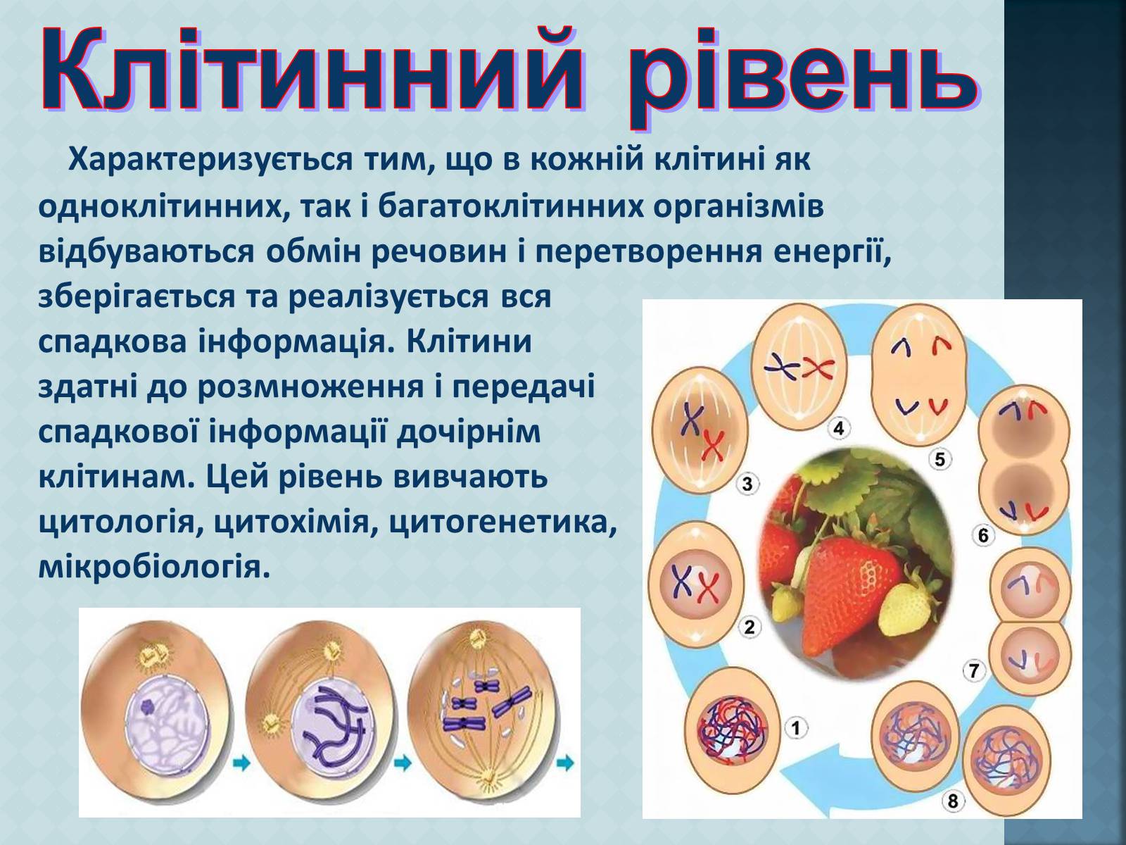 Презентація на тему «Урбанізація та її наслідки» (варіант 3) - Слайд #6