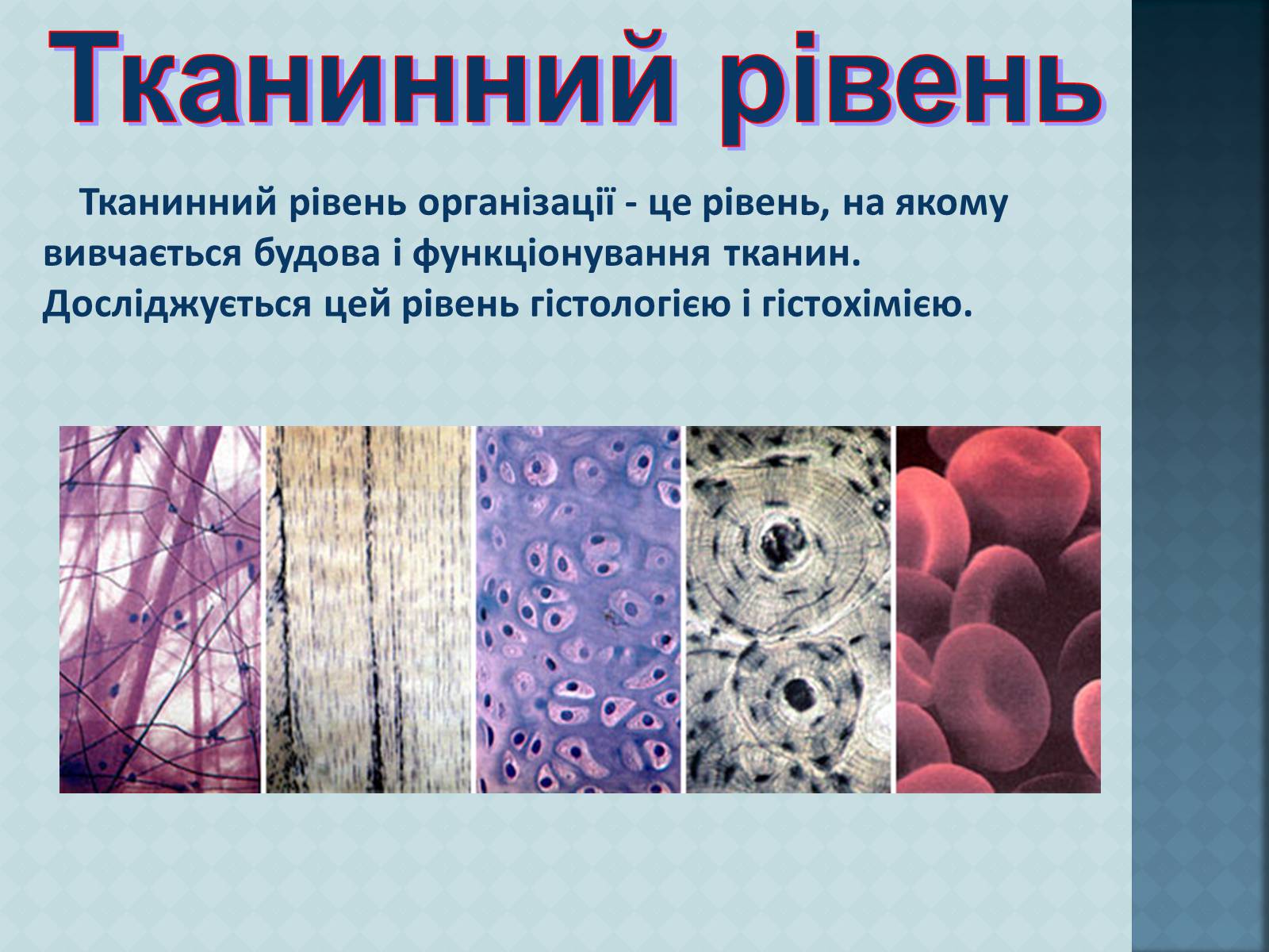 Презентація на тему «Урбанізація та її наслідки» (варіант 3) - Слайд #7