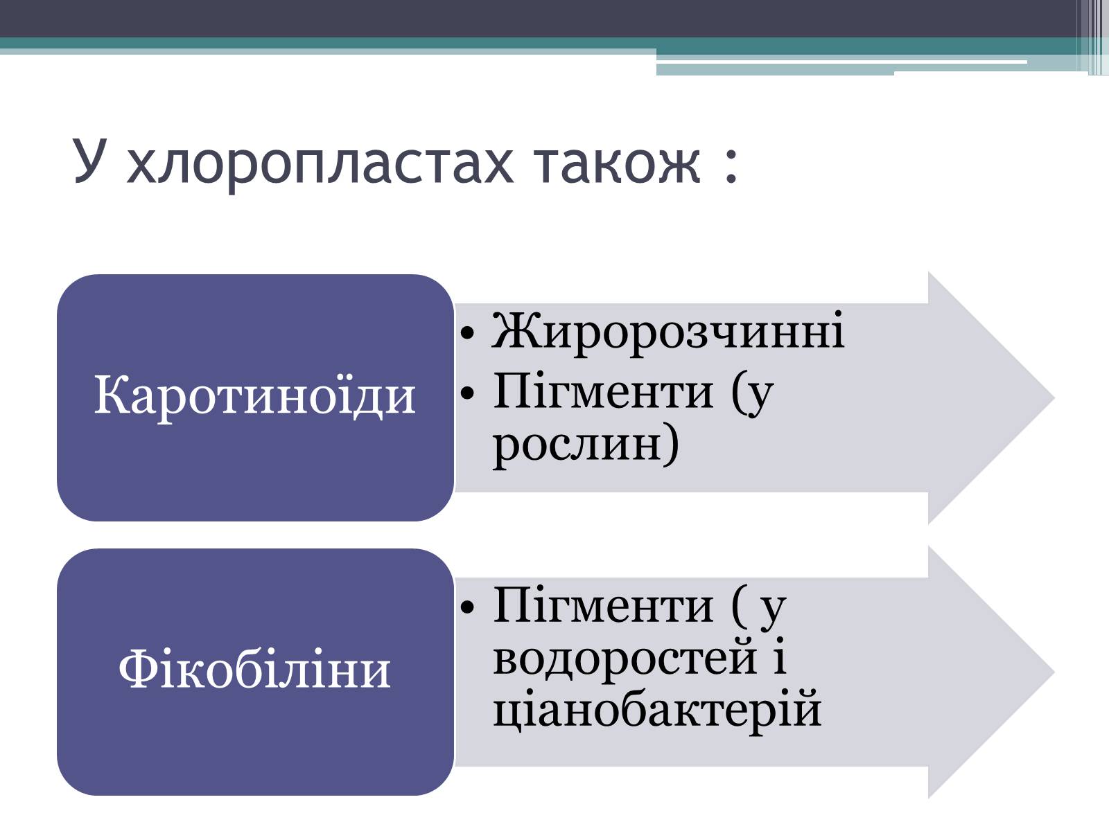 Презентація на тему «Фотосинтез» (варіант 8) - Слайд #5