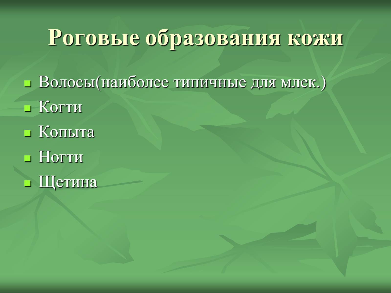 Презентація на тему «Класс Млекопитающие» (варіант 1) - Слайд #14