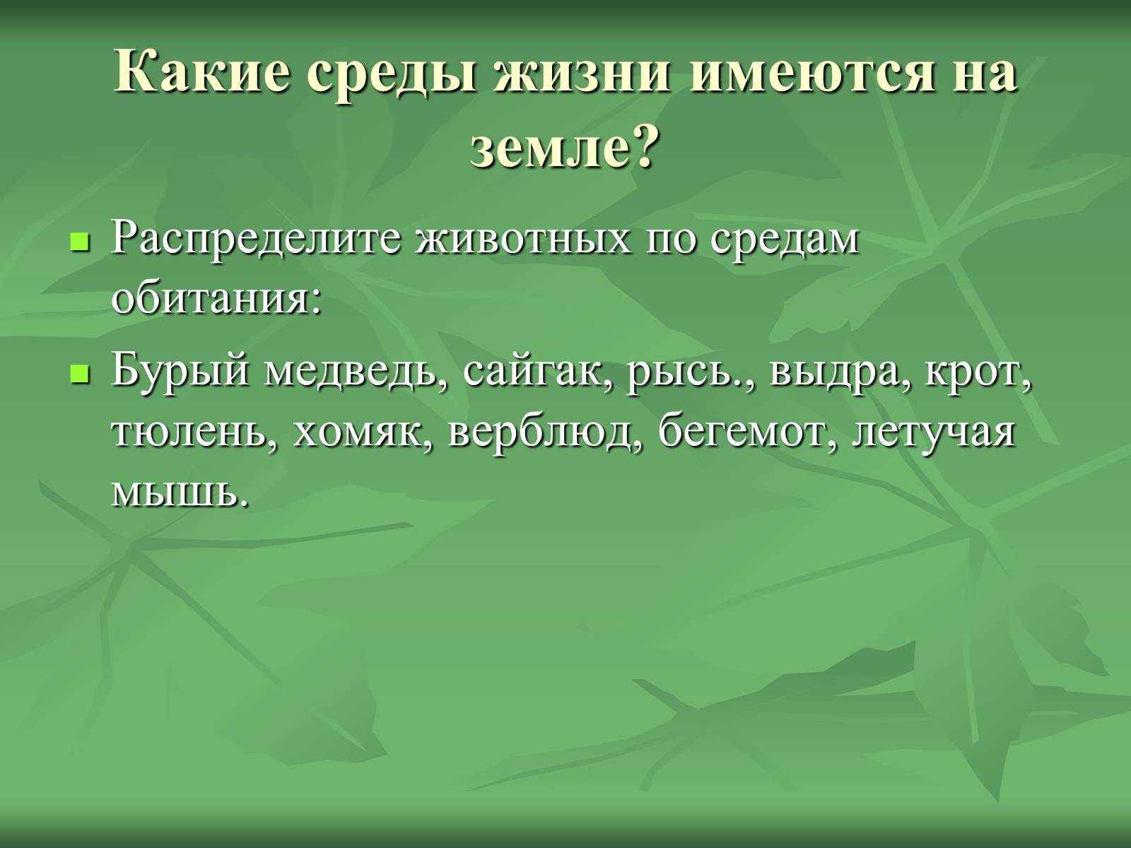 Презентація на тему «Класс Млекопитающие» (варіант 1) - Слайд #8