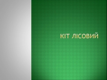 Презентація на тему «Кіт лісовий»