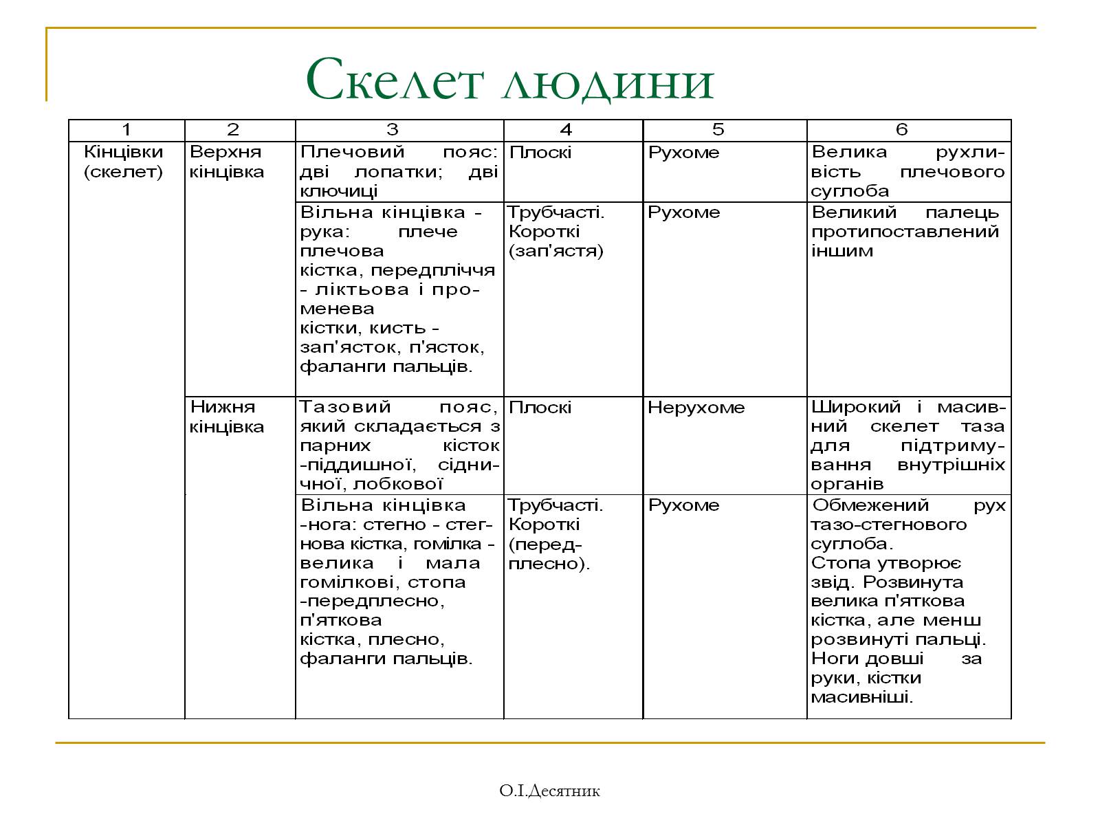 Презентація на тему «Система органів опори і руху» - Слайд #11