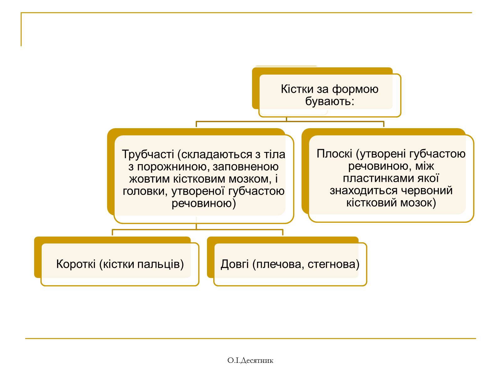 Презентація на тему «Система органів опори і руху» - Слайд #5