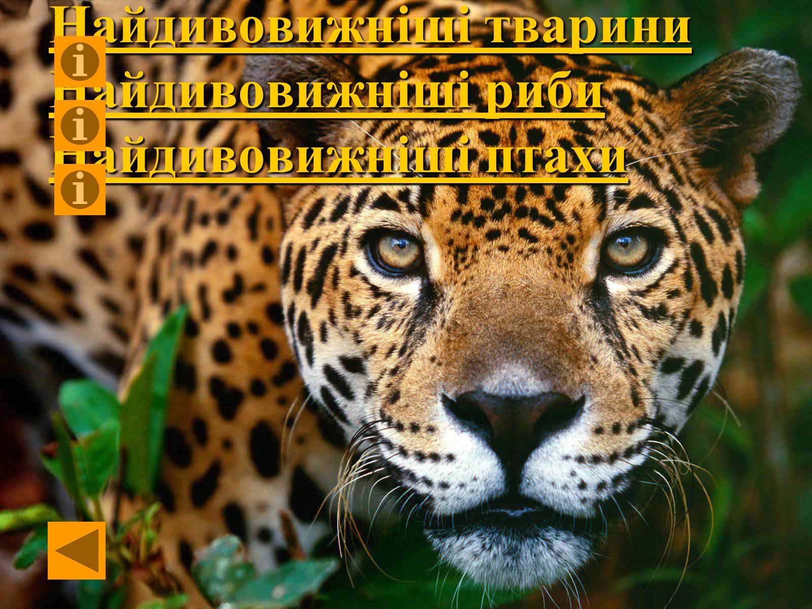 Презентація на тему «Найдивовижніші істоти нашої планети» - Слайд #2