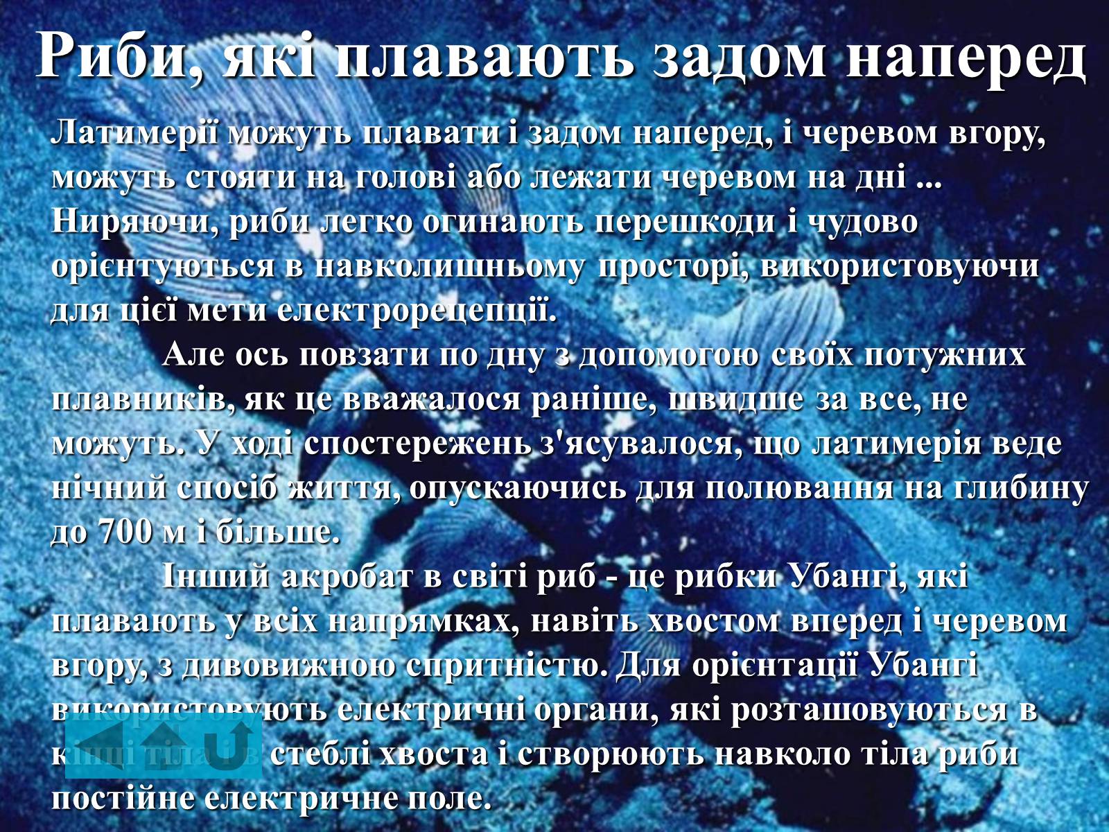 Презентація на тему «Найдивовижніші істоти нашої планети» - Слайд #8