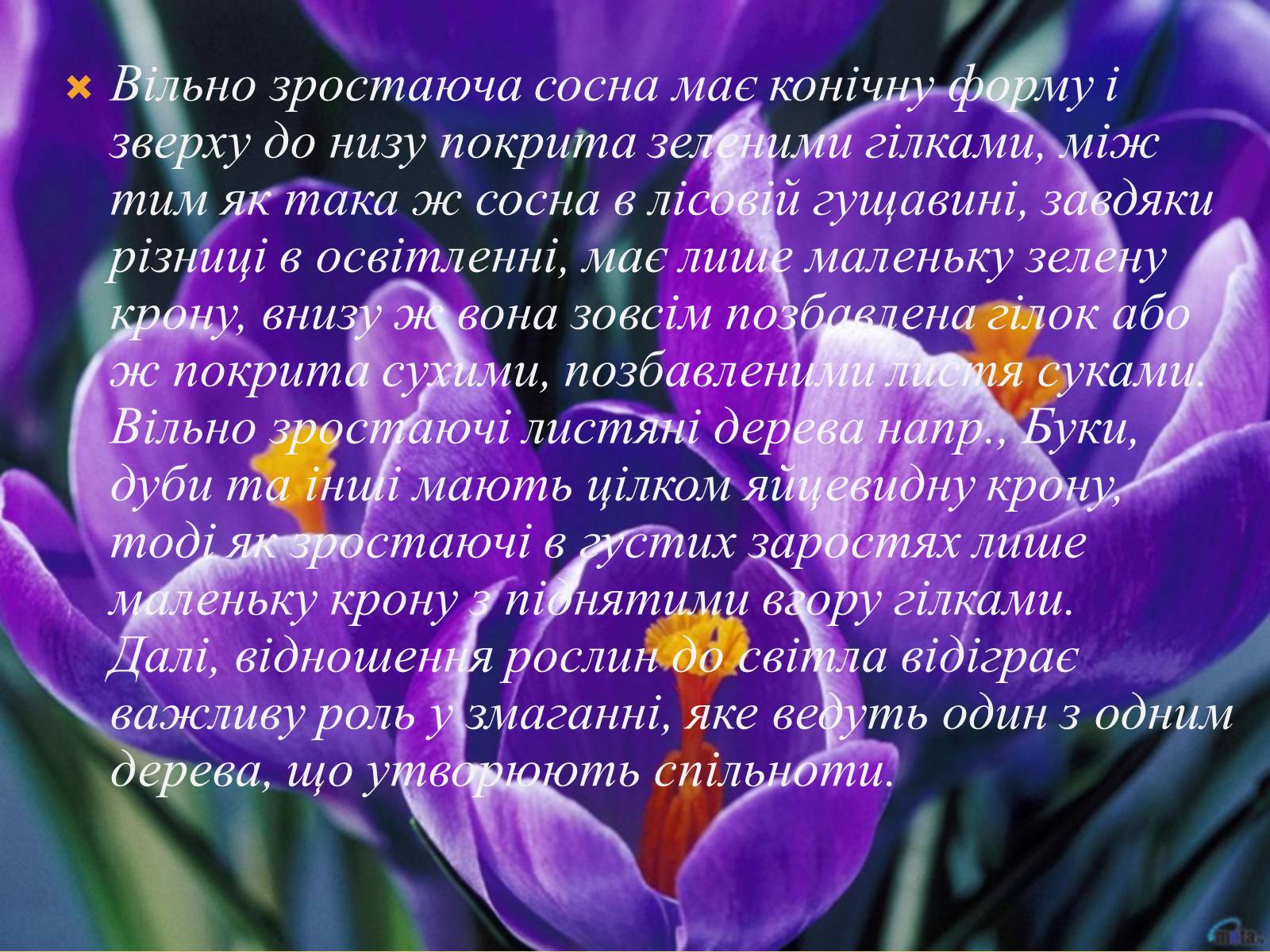 Презентація на тему «Вплив свіТла на рослини» - Слайд #10