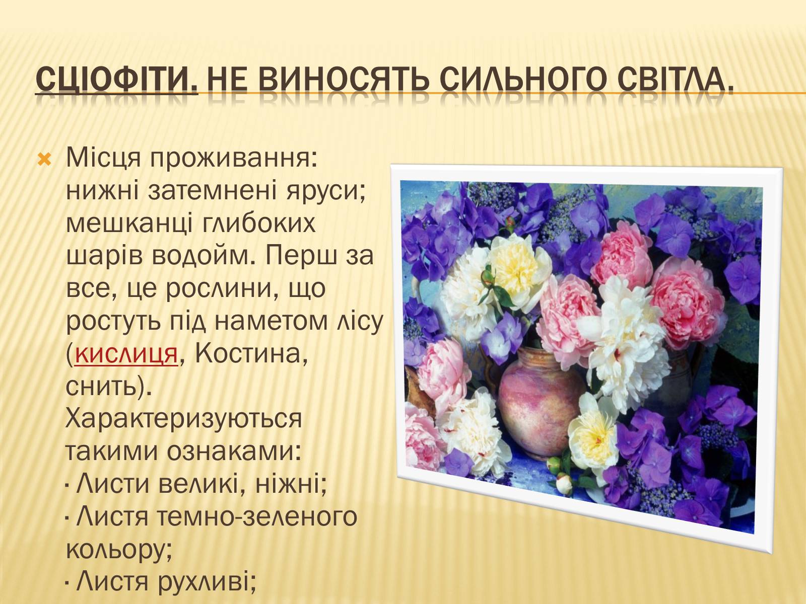 Презентація на тему «Вплив свіТла на рослини» - Слайд #13