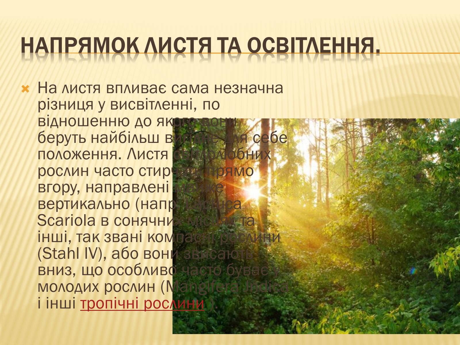 Презентація на тему «Вплив свіТла на рослини» - Слайд #17