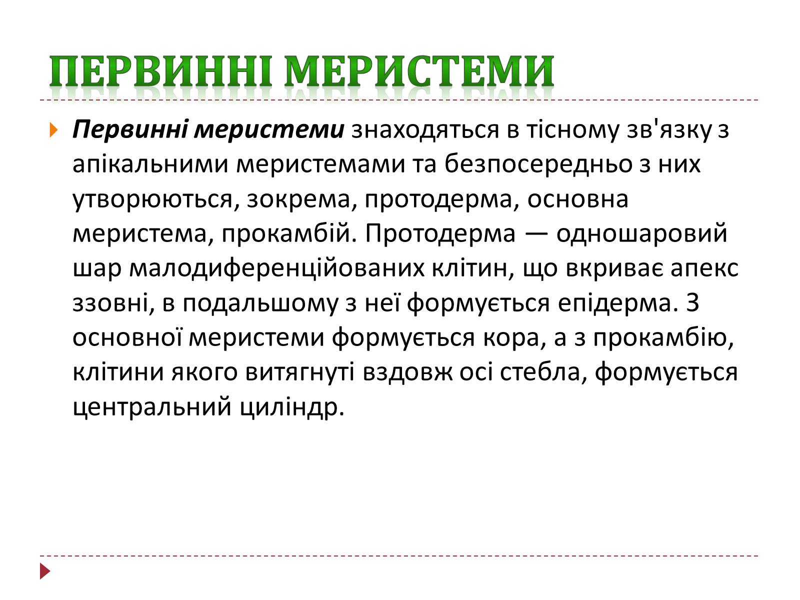 Презентація на тему «Твірна рослинна тканина» - Слайд #10