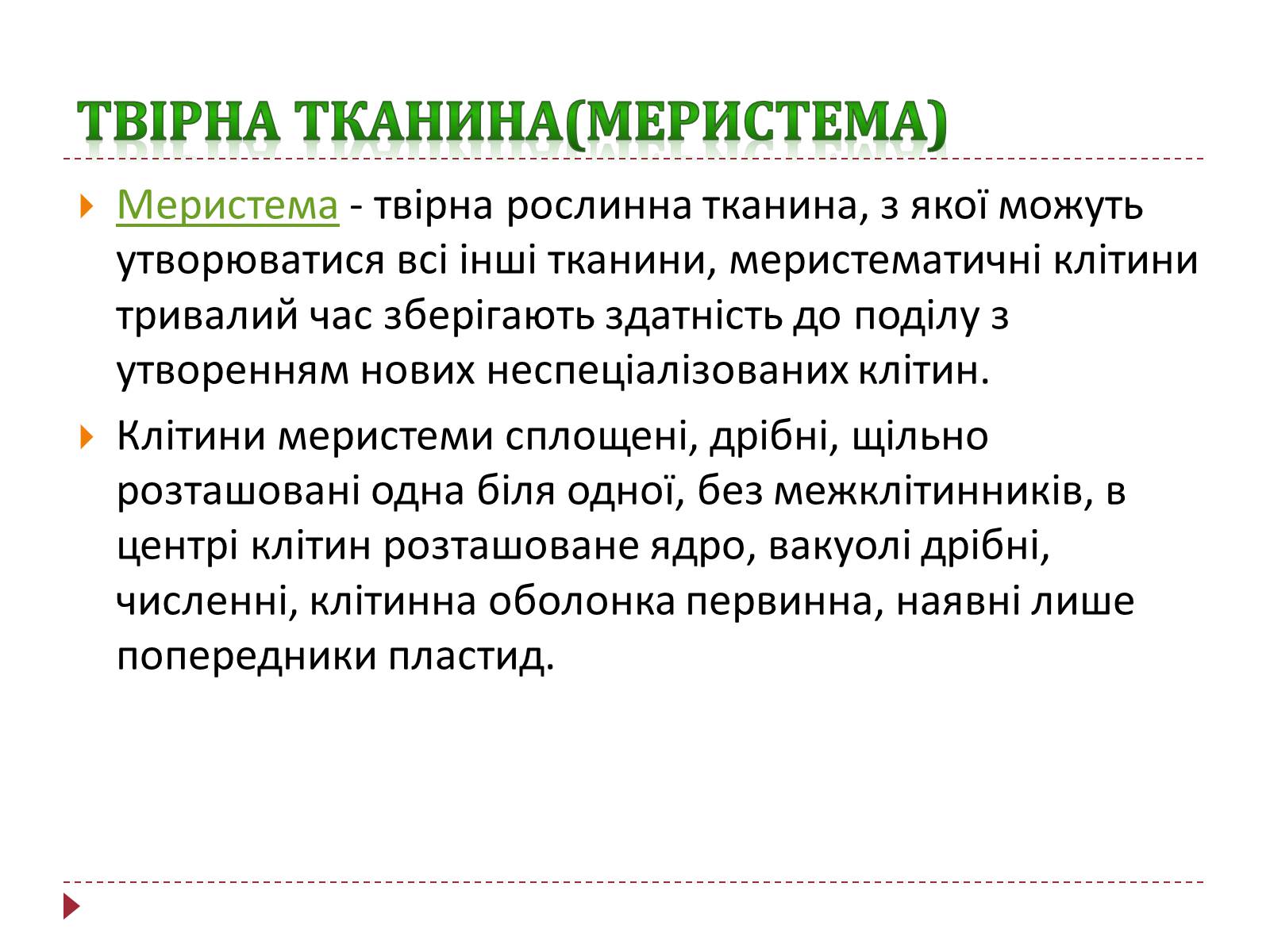 Презентація на тему «Твірна рослинна тканина» - Слайд #2