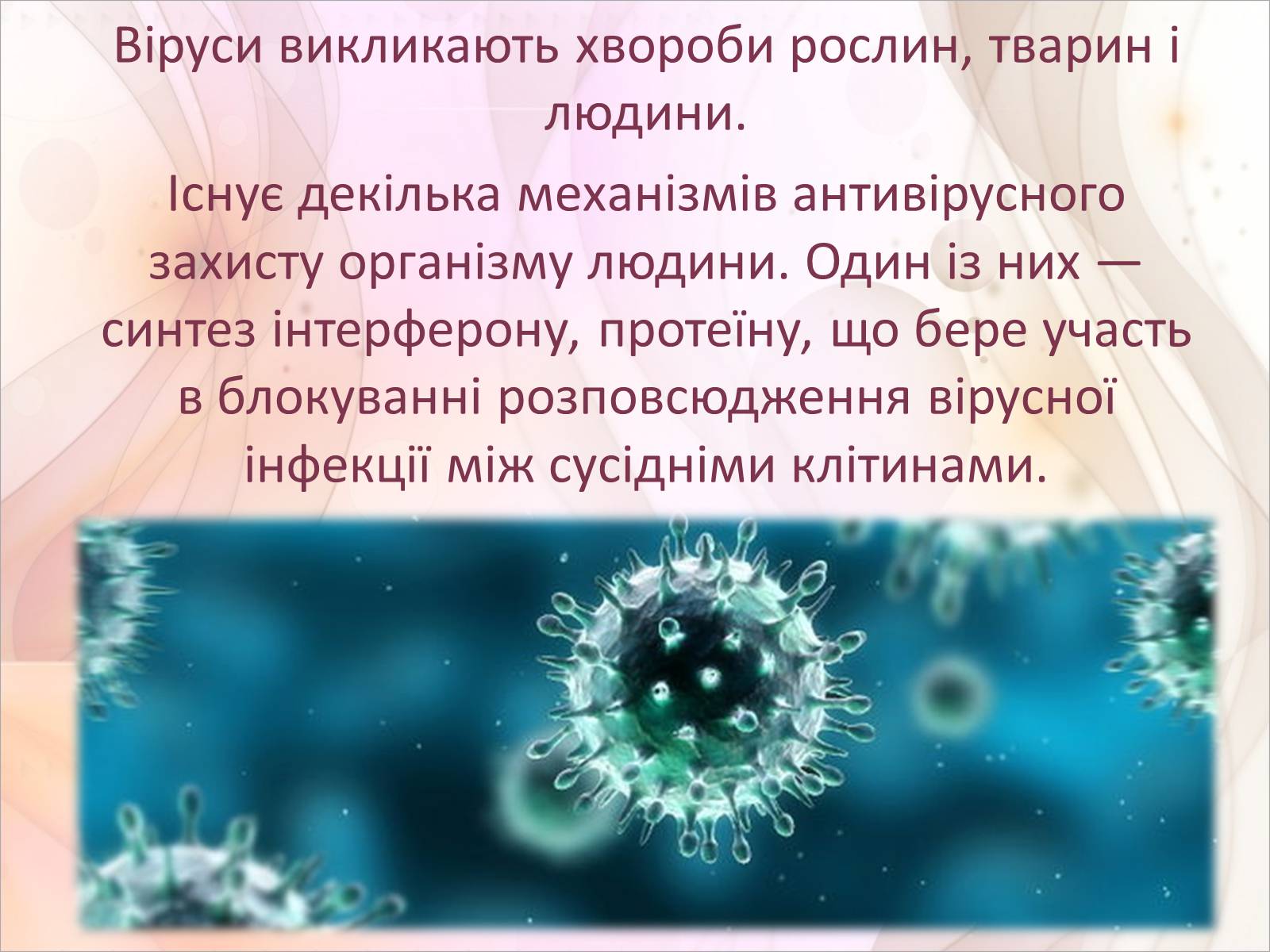 Презентація на тему «Віруси» (варіант 17) - Слайд #9