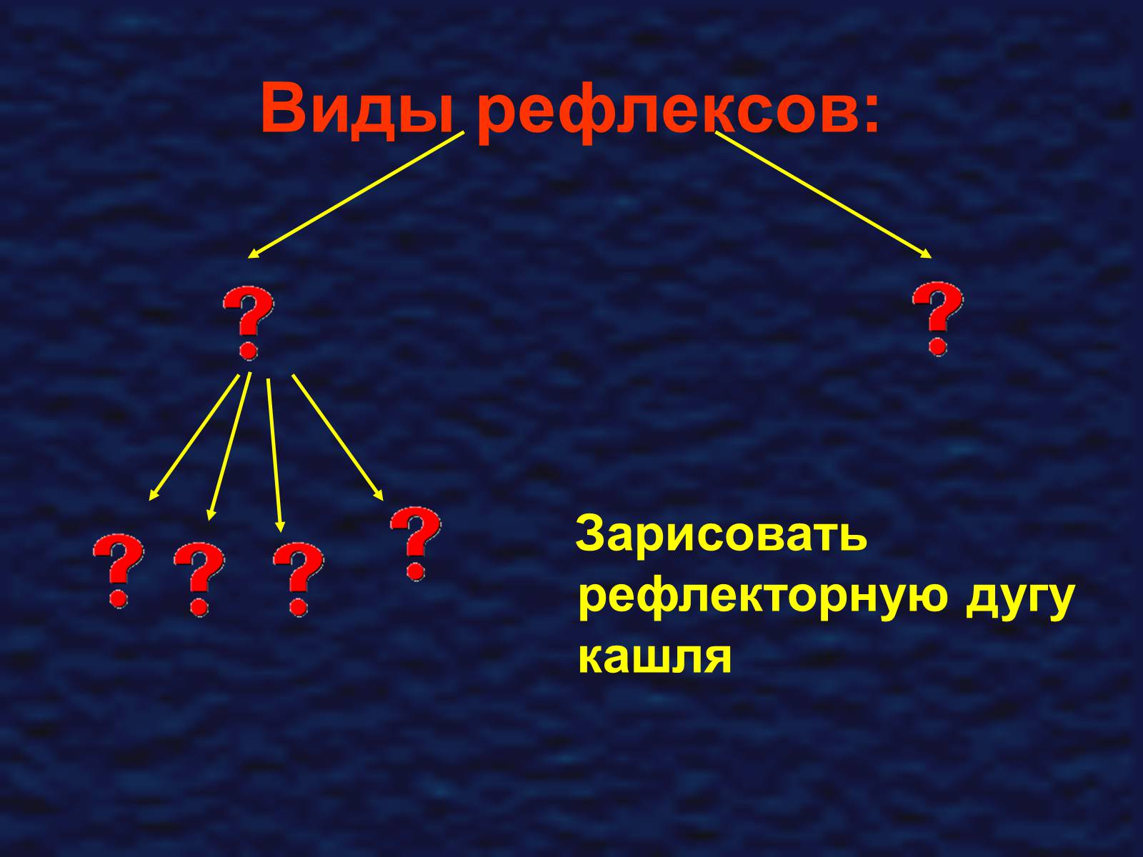 Презентація на тему «Строение спинного мозга» - Слайд #4