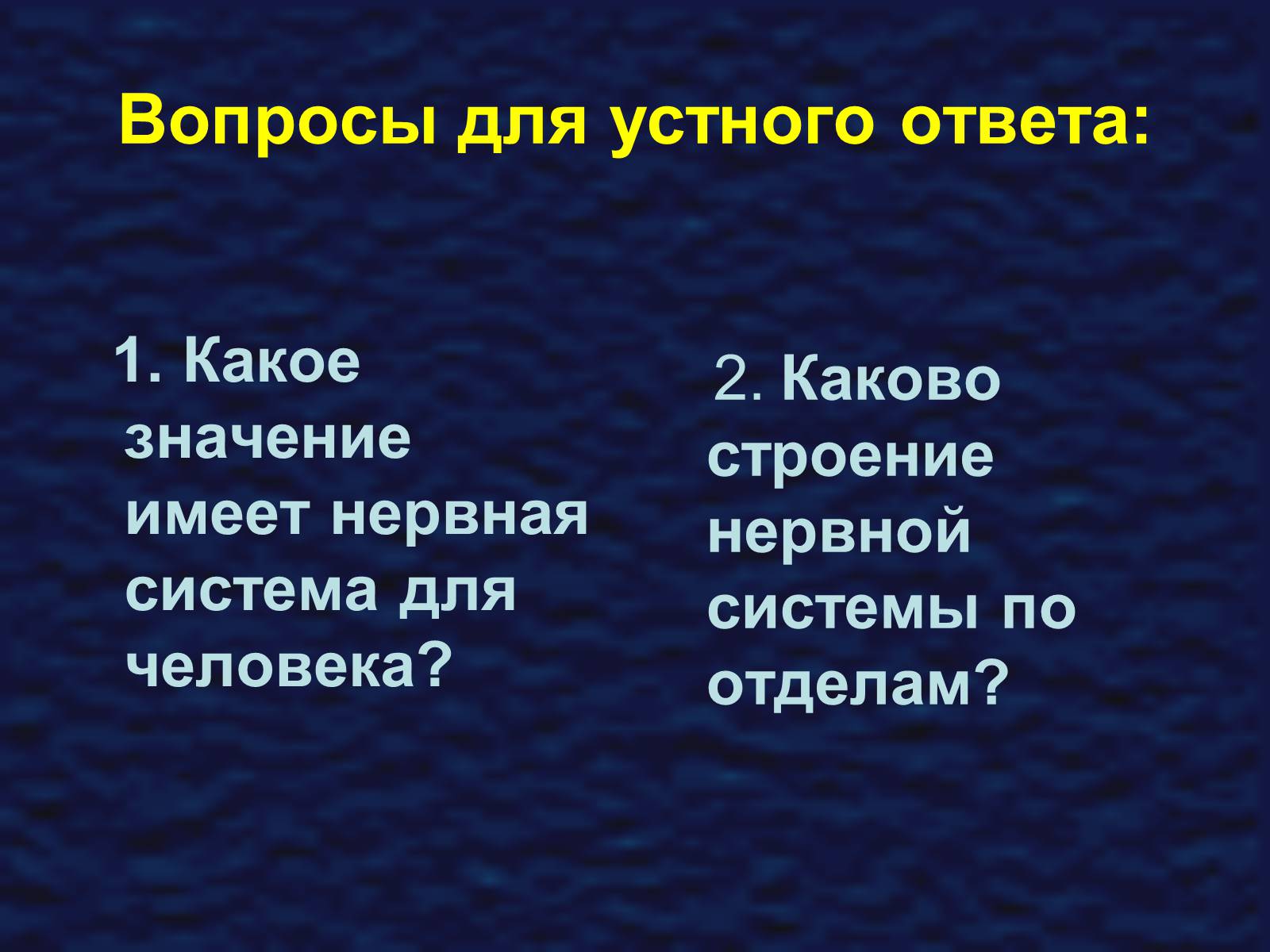 Презентація на тему «Строение спинного мозга» - Слайд #5