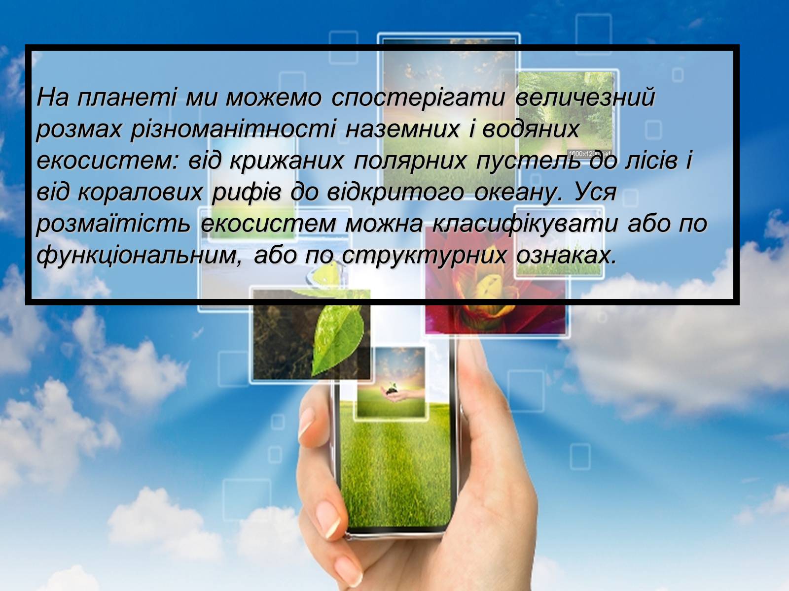 Презентація на тему «Основний результат еволюції» - Слайд #16