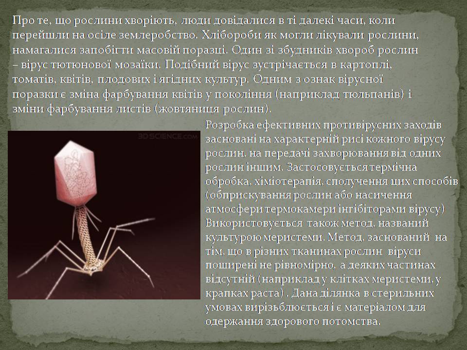 Презентація на тему «Віруси, їхня будова, життєвий цикл» (варіант 3) - Слайд #9