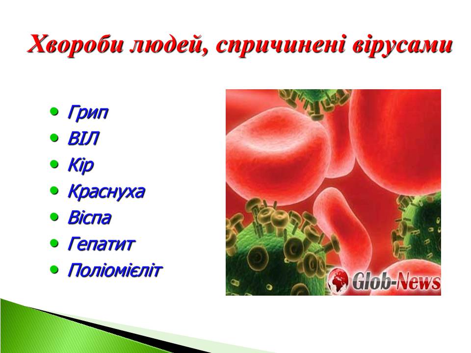 Презентація на тему «Віруси» (варіант 22) - Слайд #9