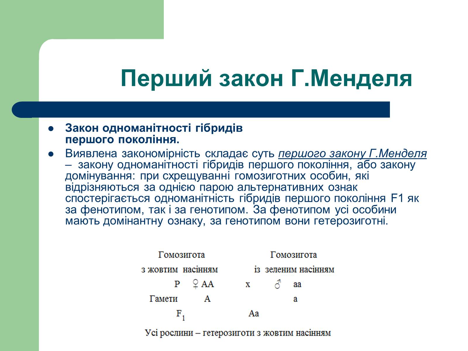 Презентація на тему «Гетерозиготні особини» - Слайд #6