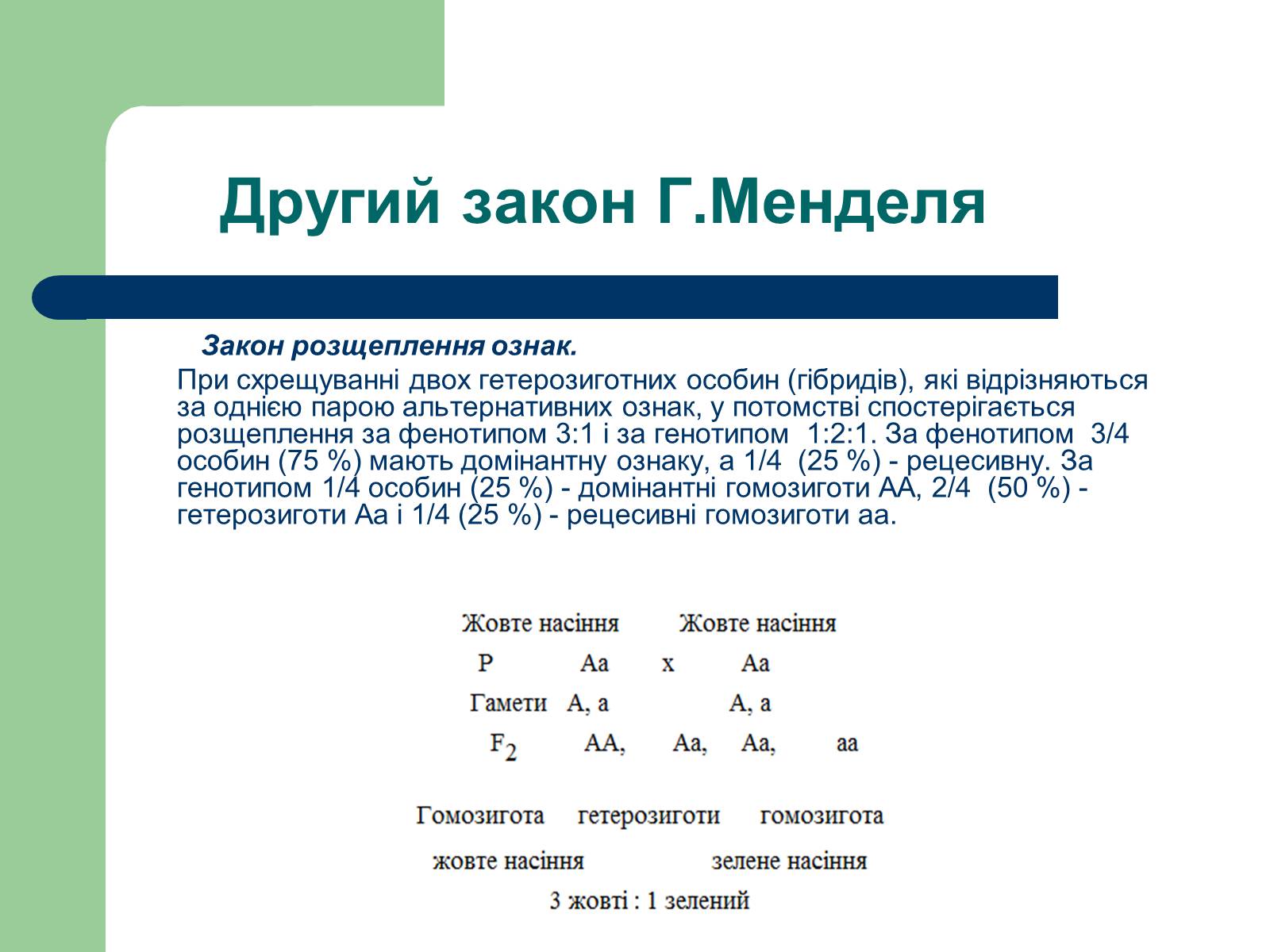 Презентація на тему «Гетерозиготні особини» - Слайд #7