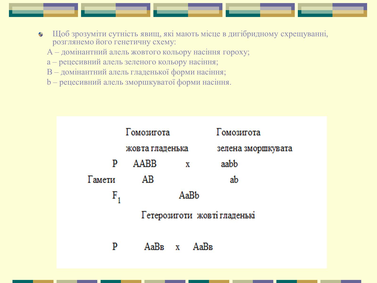 Презентація на тему «Гетерозиготні особини» - Слайд #9