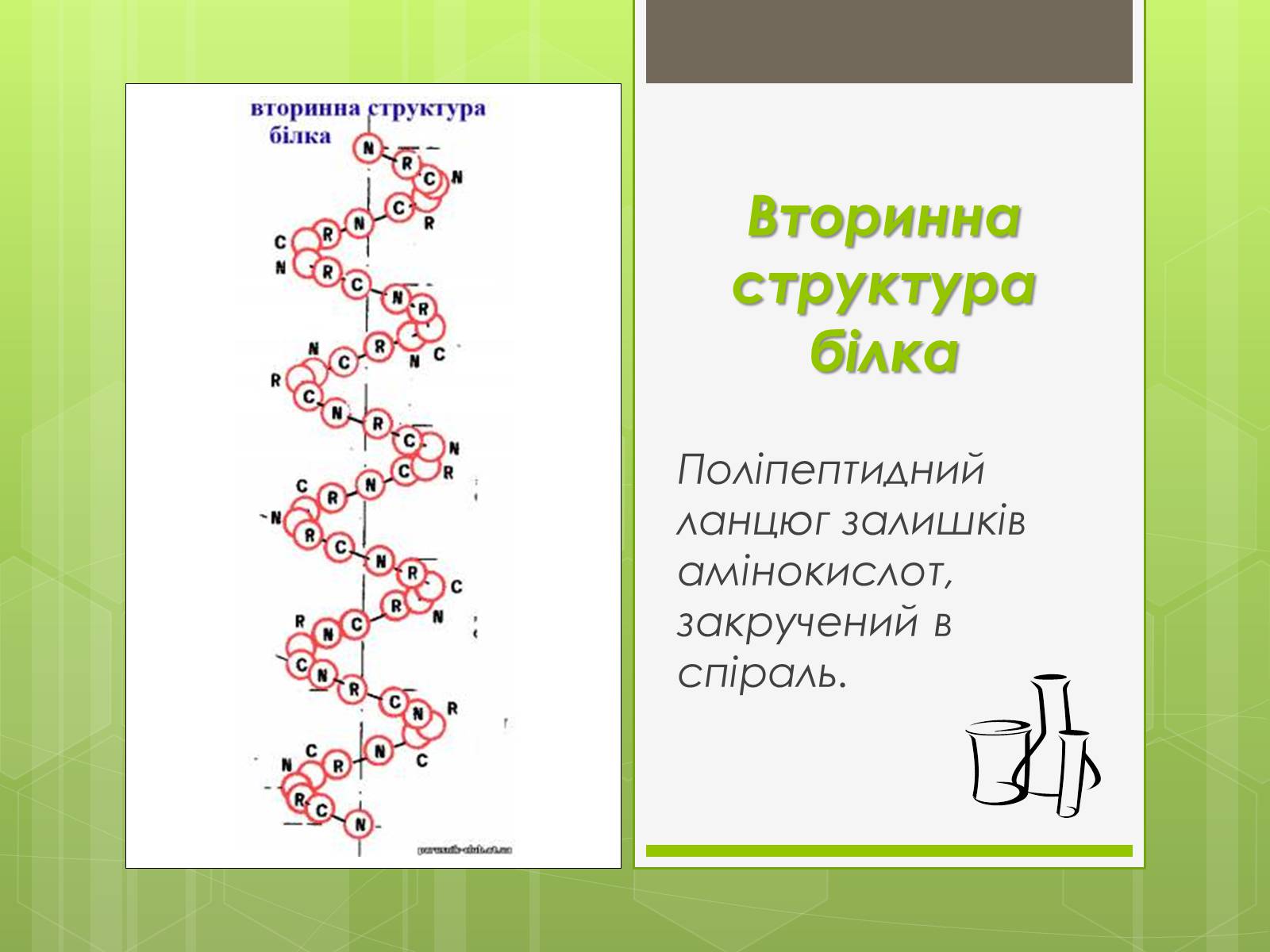 Презентація на тему «Білки» (варіант 3) - Слайд #7