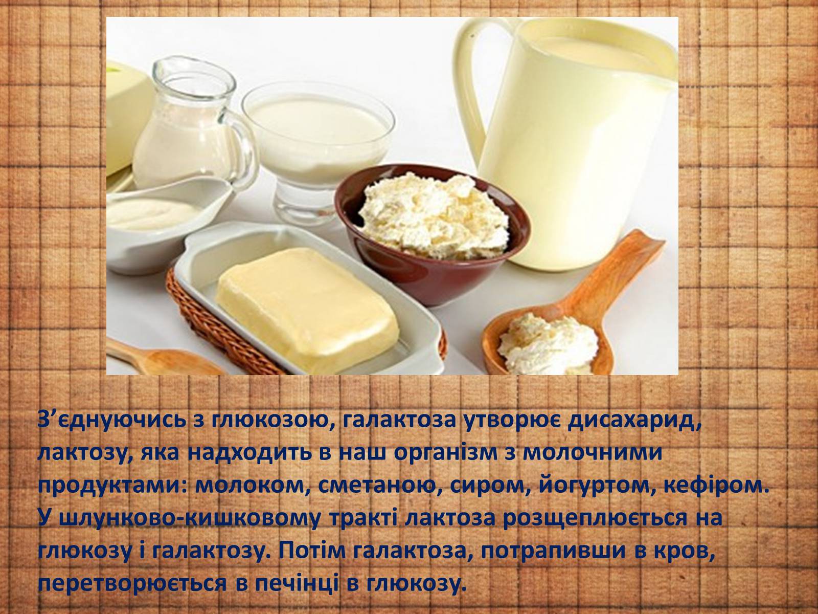 Презентація на тему «Вуглеводи як компоненти їжі, їх роль у житті людини» (варіант 32) - Слайд #5