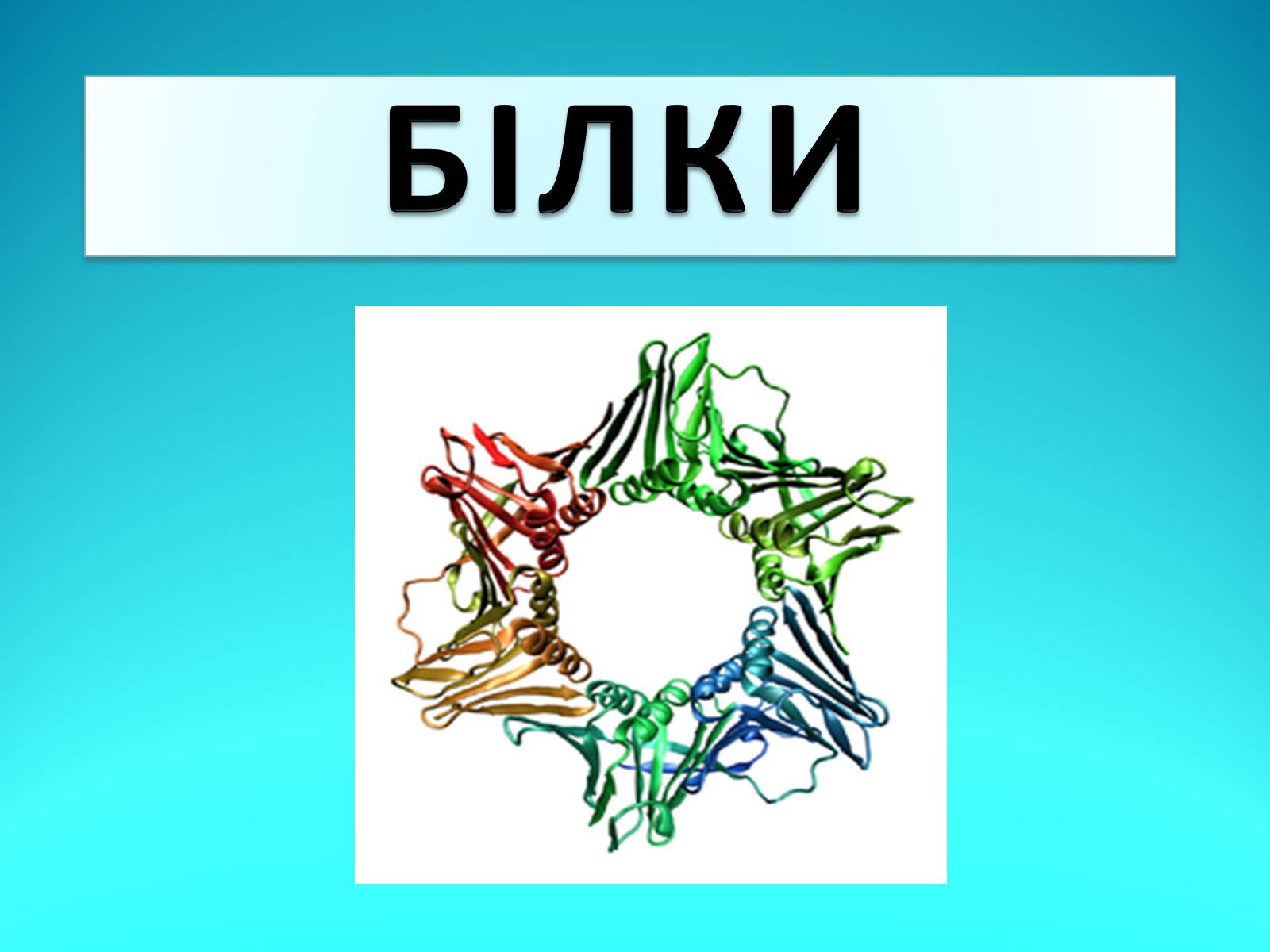 Презентація на тему «Білки» (варіант 11) - Слайд #1