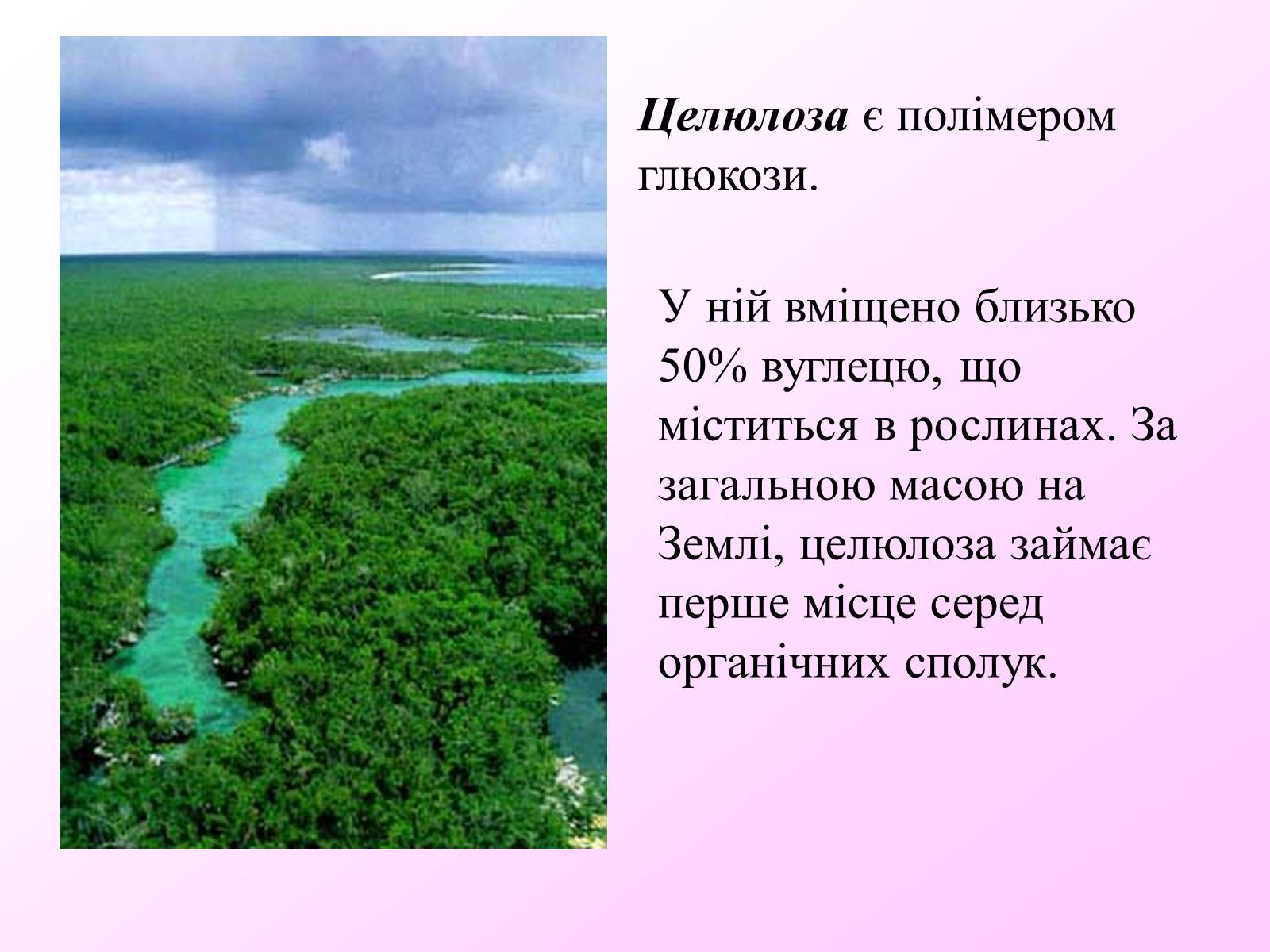 Презентація на тему «Вуглеводи як компоненти їжі, їх роль у житті людини» (варіант 7) - Слайд #18