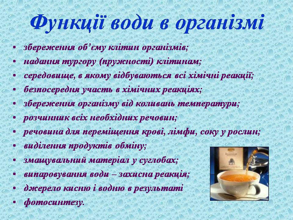 Презентація на тему «Вода в організмах» (варіант 3) - Слайд #19