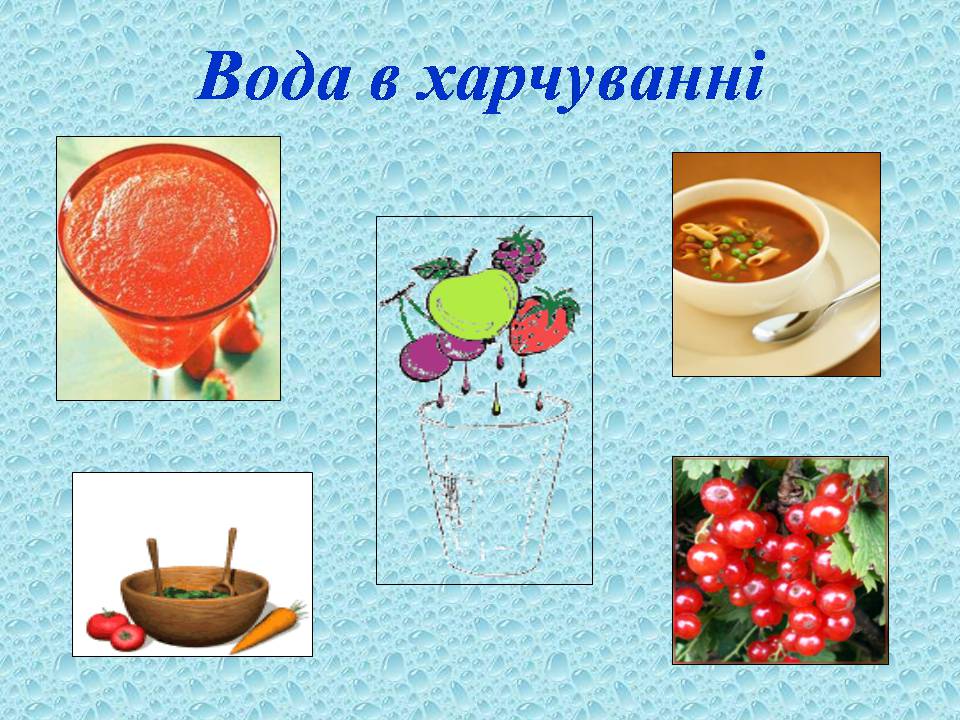 Презентація на тему «Вода в організмах» (варіант 3) - Слайд #9