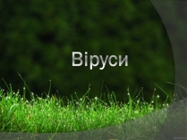 Презентація на тему «Віруси» (варіант 23)