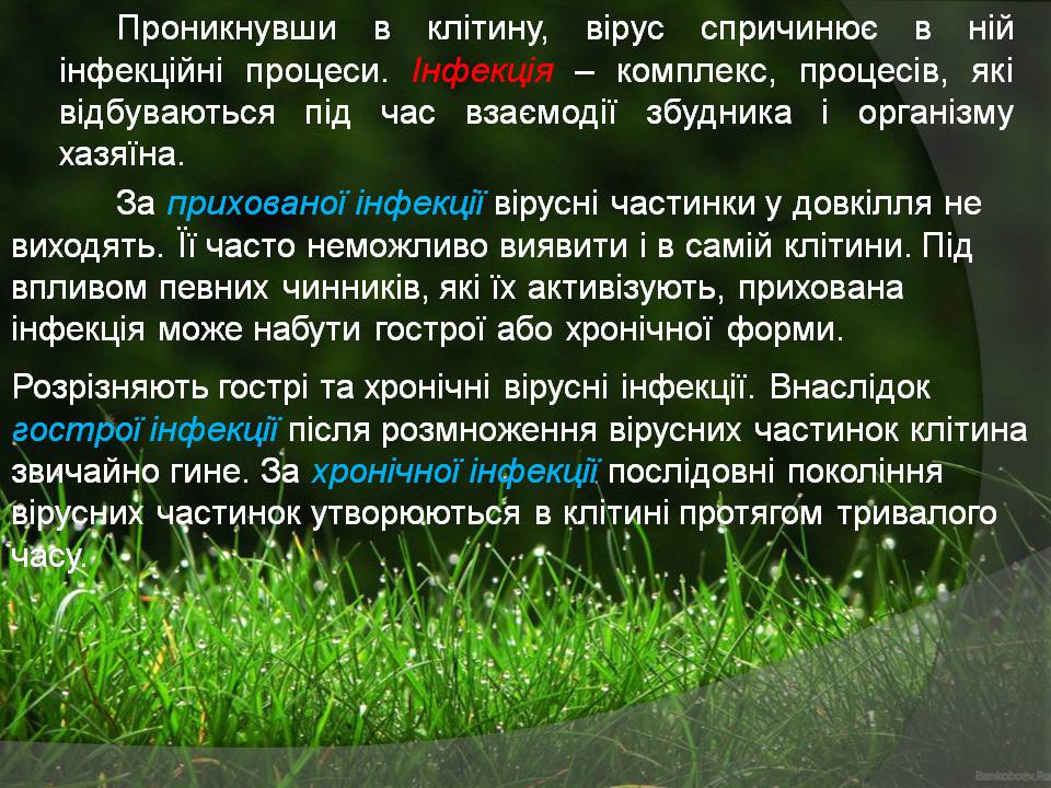 Презентація на тему «Віруси» (варіант 23) - Слайд #10