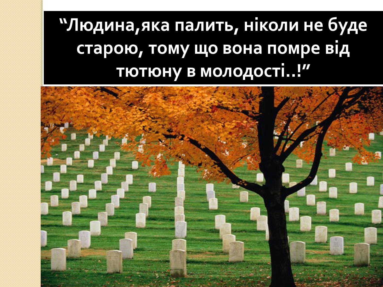 Презентація на тему «Палити чи не палити?» - Слайд #22