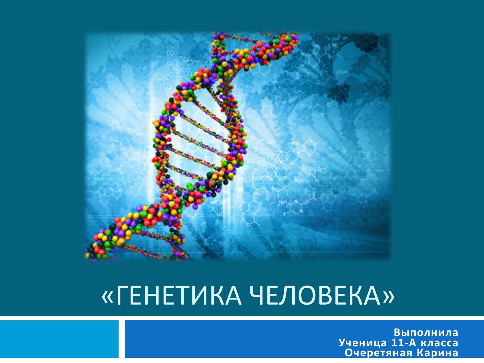 Презентація на тему «Генетика» (варіант 8) - Слайд #1