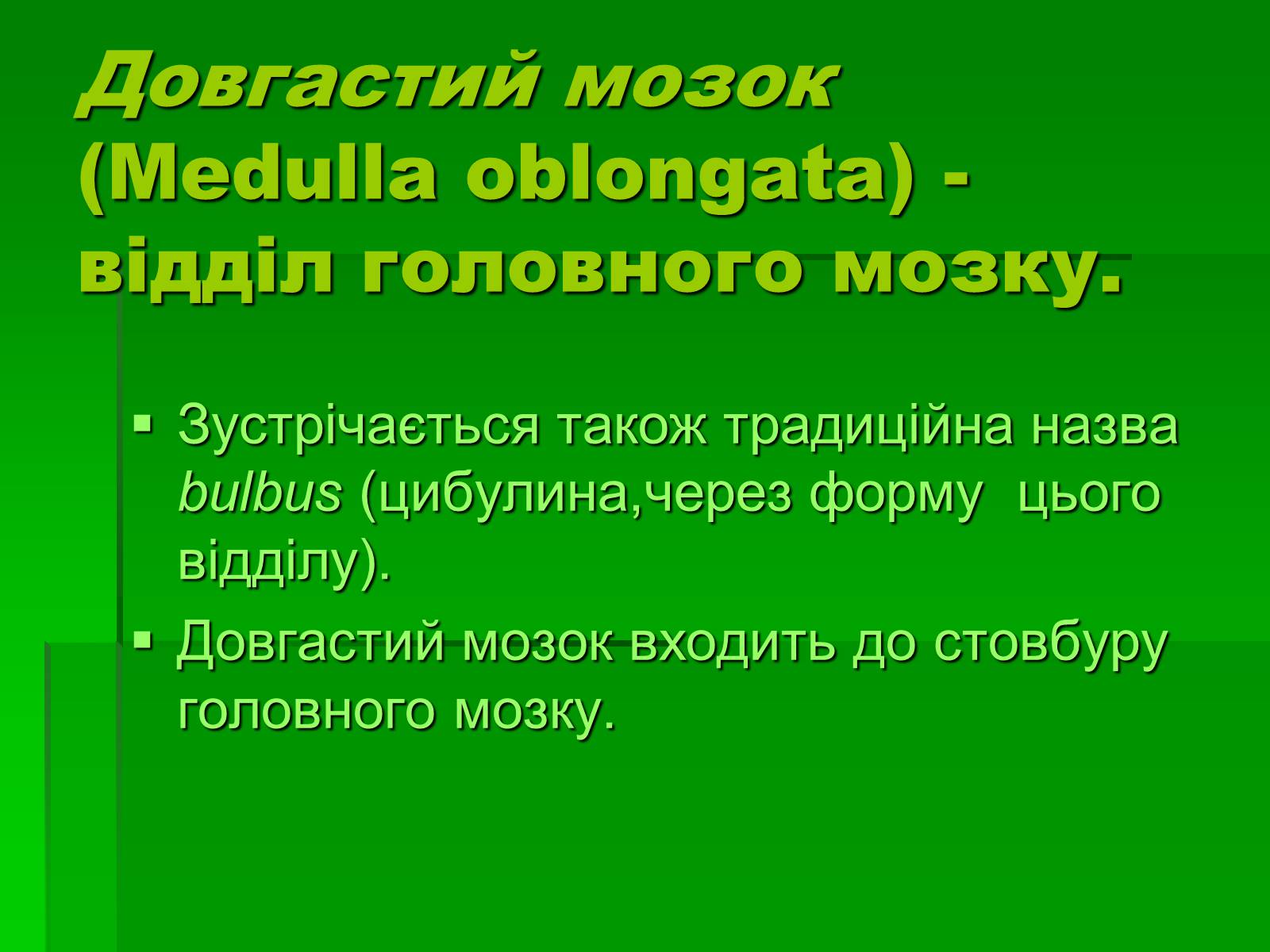 Презентація на тему «Довгастий мозок» - Слайд #3